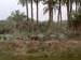 DSC01819
